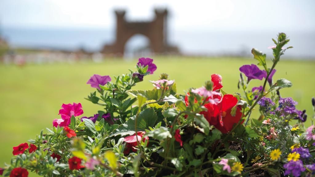 The Belmont Hotel - Adults Only Sidmouth Exteriör bild